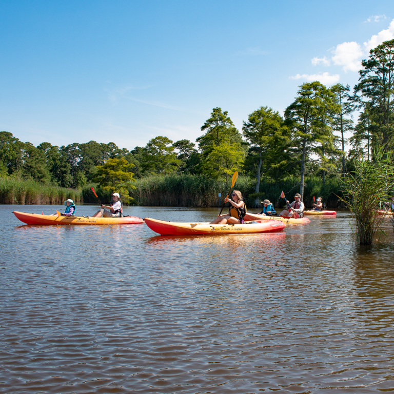Back Bay Kayak Tour Ocean Rentals Ltd Sandbridge VA